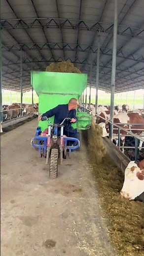 Efficient Dairy Farm Operations: Innovative Mobile Feeding Systems for Healthy Cattle