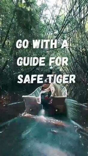 Sundarban Jungle Safari | Wildlife & Nature Documentary | #shorts