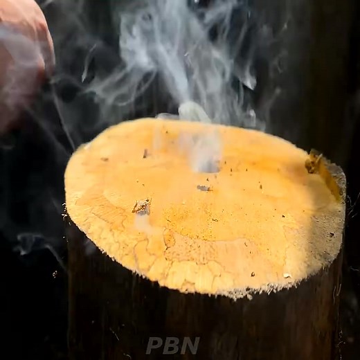 Tree Stump Cabin Build Surviving 5 Nights Part 11 | Survival Expeditions