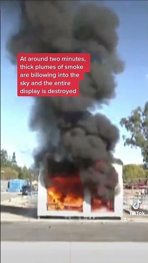 Watch how fast an Xmas tree burns