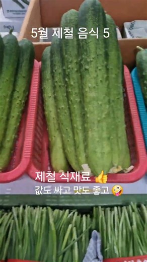 5월 제철 음식 #제철 식재료 #양파 #마늘쫑 #블루베리 #멍게 #병어 # 건강 #음식 #건강 정보 #살림팁