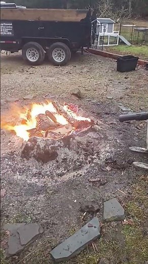 Burning Out a Tree Stump - The Easy Way part 7