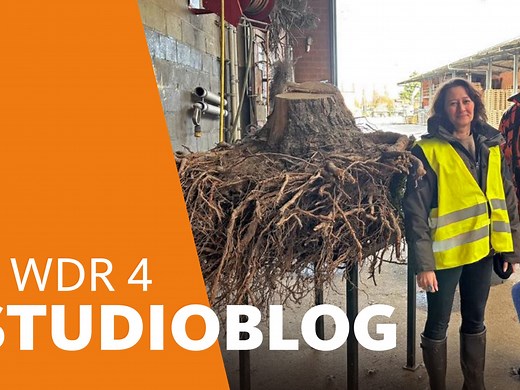 Der WDR 4-Studioblog