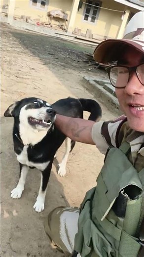 I Madly miss my dog Christy 😭😭😭 #saslongshir #mydog #shorts