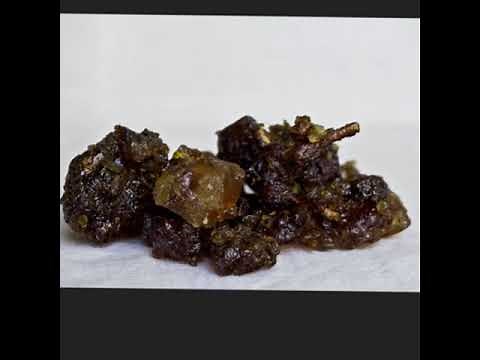 Why did John The Baptist eat locust? What is Bdellium?