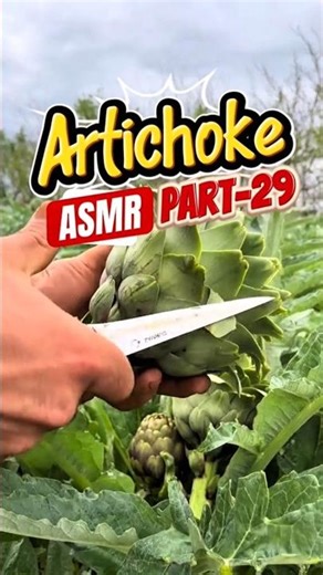 📢Part-29 Stuffed Artichokes That Will Blow Your Mind 🤤