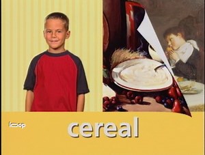 Baby Einstein: My First Signs