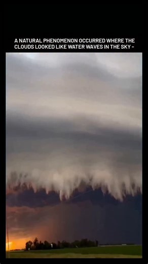 REACHX on Instagram: "This is what I'd like to see all the time. it's so beautiful. (Via: Wxmstr /tt) Blades of Glory (2007) is a comedy about rival figure skaters Chazz Michael Michaels and Jimmy MacElroy. Chazz is a flashy, arrogant champion raised by a wolfish promoter, while Jimmy is a sweet, technically perfect skater raised in an orphanage. Their intense rivalry explodes at the 2002 World Championships when they brawl on the podium, leading to a lifetime ban from men’s singles skating. Yea