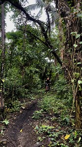 Muddy weather 🌧️ | Gabriel Amigo III