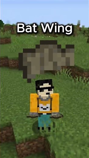 Minecraft Bats Finally Have a Use