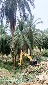 1.6M views · 10K reactions | #short #video #hailaite #viralreelsfacebook #foryouシ | Niyaz Ahmad | Facebook