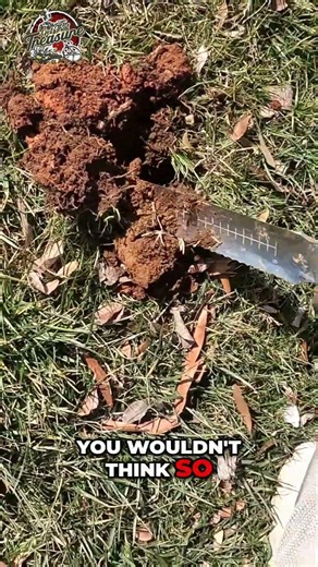 Metal Detecting: Unearthing a Hidden Coin Find! #shorts