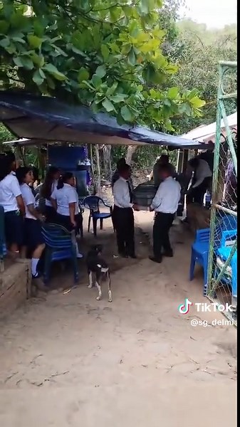 Videos de delmi💐 (@sg_delmi) con “sonido original - Música Cristiana Ayer y Hoy 🙌”