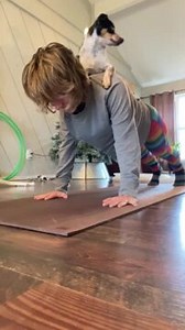 1K views | This woman was exercising at home with her pet dog. She got the dog to sit on her back as she performed her push up exercise. | Jukin Copyright Management | Facebook