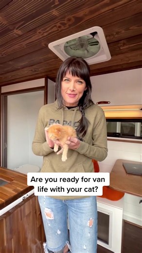 Cat-Friendly Van Build Tour: Features and Accommodations