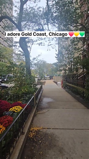 Chicago First on Reels