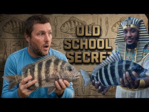 I Learned How To Catch and Cook Sheepshead From A Lifelong Master!