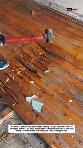 Roof Repair Satisfying! Removing Old Shingles with Simple Tools