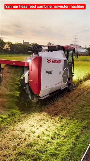 Yanmar heas feed combine harvester machine 🌾 #shorts