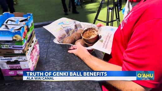 The truth about genki ball benefits