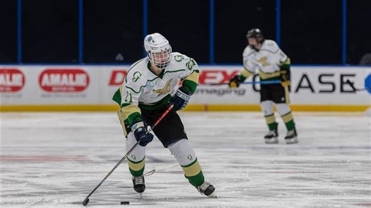 Lightning High School Hockey League's Jake Richard drafted by Oshawa