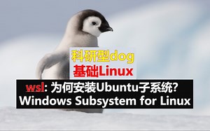 实战Linux - 为何？如何安装Windows Subsystem for Linux