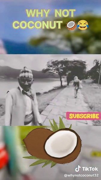 Why Not Coconut? Fun Facts and Uses of Coconut