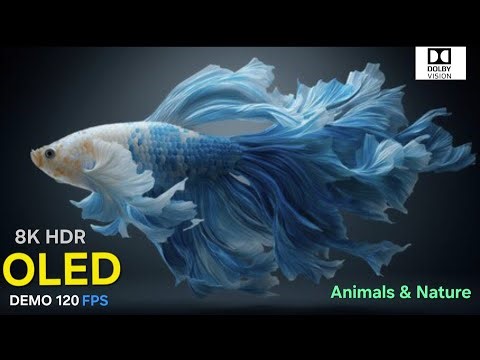 8K HDR Wildlife & Nature • Ultra HD Relaxing Cinematic Video | best of wildlife videos