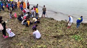 29K views · 410 reactions | WATCH: Manileños take one step forward towards the ‘Bagong Maynila’ dream with today’s massive clean-up drive at the Baseco Beach in Port Area | Video by @ManilaPIO @JNLeonen on Twitter | INQUIRER.net | Facebook