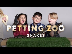 Kids Pet Snakes | HiHo Petting Zoo | HiHo Kids