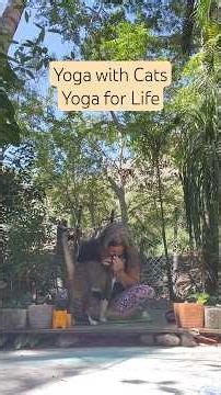 Yoga with Cats, Yoga For Life