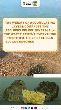 Built shell by shell, over millions of years, limestone records the remains of marine life.
