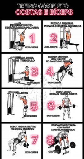 8 Exercícios Poderosos para Costas e Bíceps
