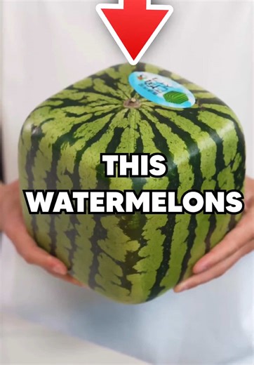 How Japan Grows Square Watermelons: A Unique Approach
