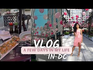 VLOG| Days in My Life in DC | photoshoots, solo lunch date, spring fashion haul, pageant diaries!