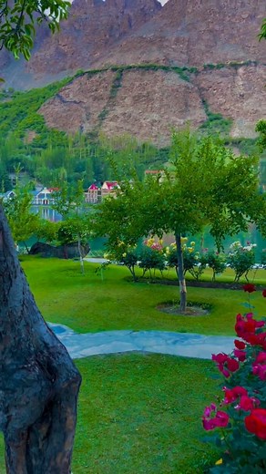 1.4K views · 25 reactions | petrol prices in pakistan national...