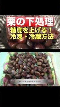 [How to prepare chestnuts] [How to freeze and refrigerate to increase sugar content] #Preparing c...