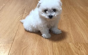 第九单元课题2 第二课时