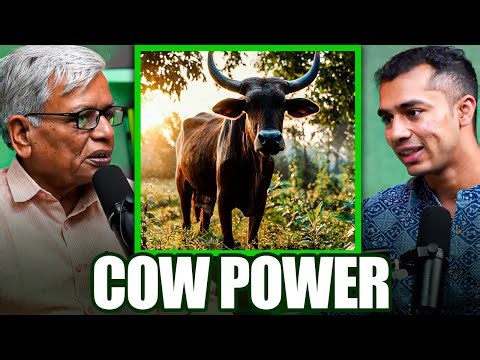 Desi Cow Power : Soil Fertility & Natural Farming Explained