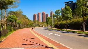 A quiet walk through Shenzhen’s green streets