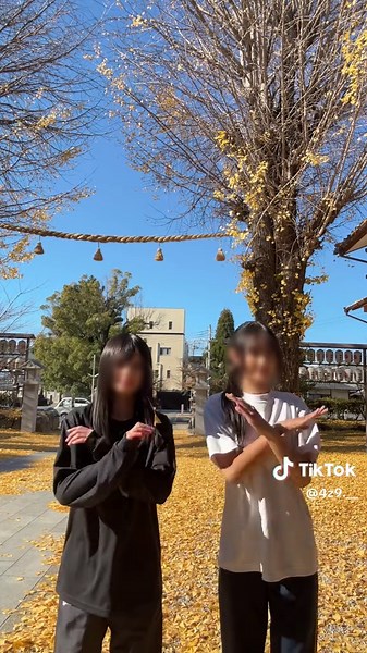 秋に映えるイチョウの葉の美しさ 🍁✨