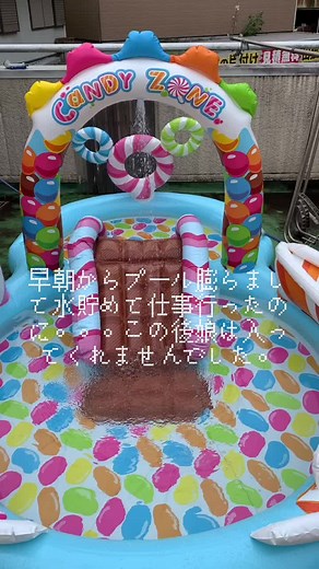 #ベランダプール#娘とパパ #プール#自宅プール#娘の為ならなんでも頑張る #家プール#父ちゃん奮闘記#残念#親の気持ち子知らず #疲れた