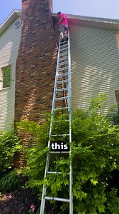 Bat Exclusion Done Right! 驪✅ #pestcontrol #bats | Pest Badger | Facebook