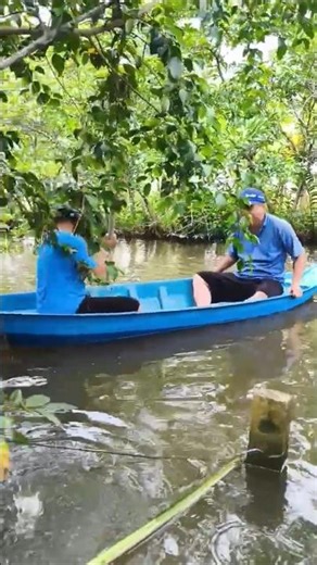 Free canoeing lessons