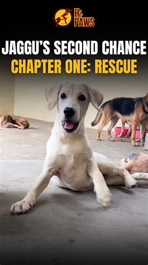 1K views · 5.2K reactions | Life has strange ways of testing those...