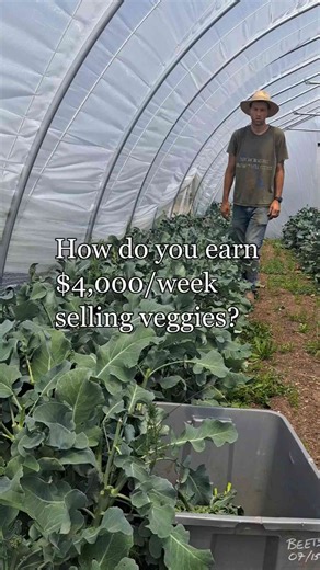 Turn Growing Food into a Real Income — Start Your Own Farm