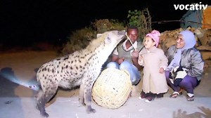 Meet Hyena Man...the way he feeds wild animals will make you jump out of your chair! | Vocativ