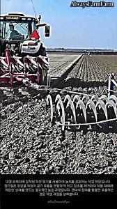 대형 트랙터를 이용한 쟁기질 작업 현장 #farming #farmlife #livestock #tractor #ploughing