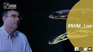 Dinosaur world tour | Natural History Museum