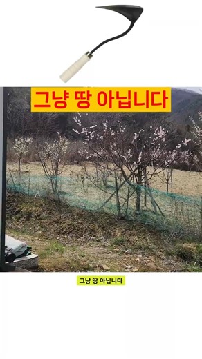 그냥 땅 아닙니다 929 포항 토지 매매, 전망까지 완벽한 땅 드디어 나왔습니다 포항 죽장면 상옥리 전망 좋은 토지 매매 주말농장매매